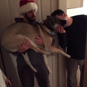 Meet your Posher, Mike